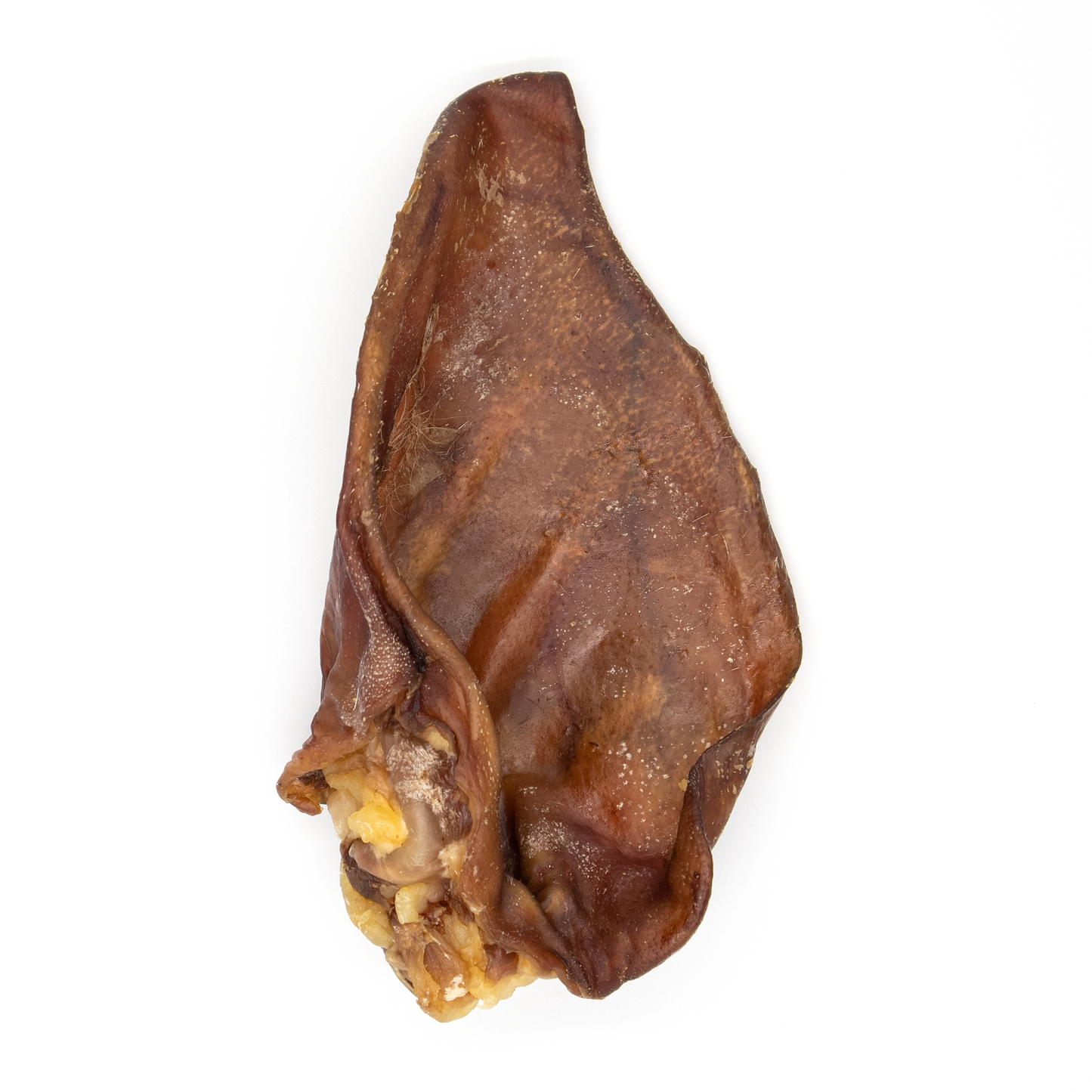 Oreja de cerdo