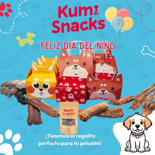 Kumi Día del Niño - Box🐾🐶